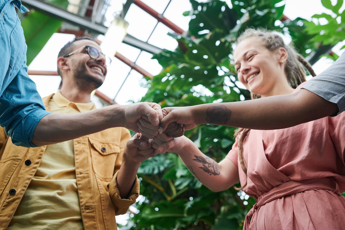 Free Photo Of People Having Fist Bump Stock Photo
