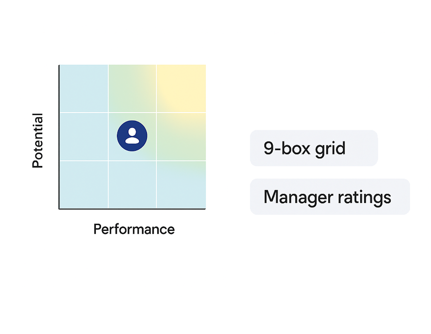 Performance Review Insights